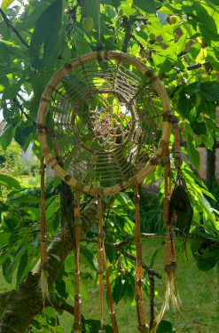 my sisters garden 13