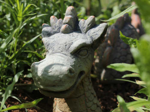 my sisters garden 14